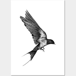 Free as a bird x Black Posters and Art